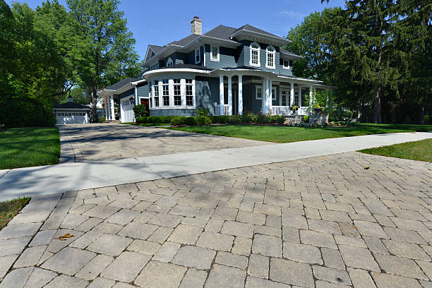 Best Driveway Paving Contractor  in Montgomery, MN