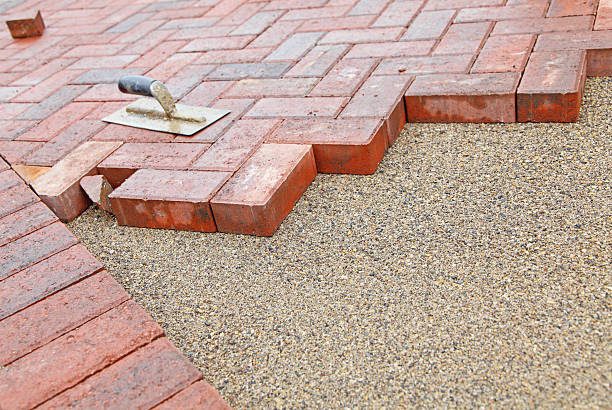 Best Driveway Pavers Near Me  in Montgomery, MN