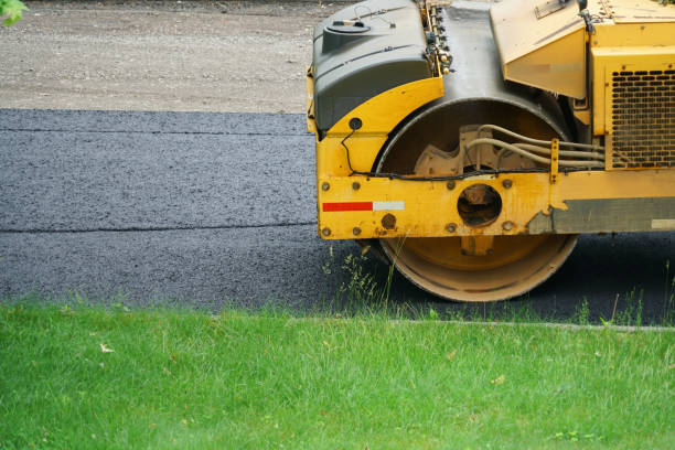 Best Local Driveway Pavers  in Montgomery, MN