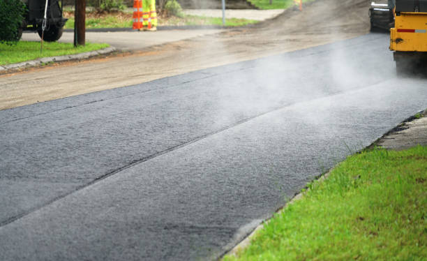 Best Residential Paver Driveway  in Montgomery, MN